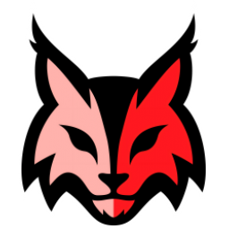 珀斯山猫女篮